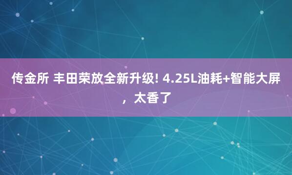 传金所 丰田荣放全新升级! 4.25L油耗+智能大屏，太香了