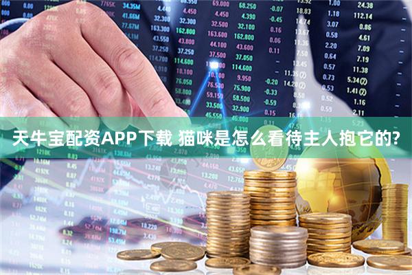天牛宝配资APP下载 猫咪是怎么看待主人抱它的?