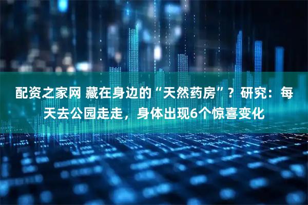 配资之家网 藏在身边的“天然药房”？研究：每天去公园走走，身体出现6个惊喜变化